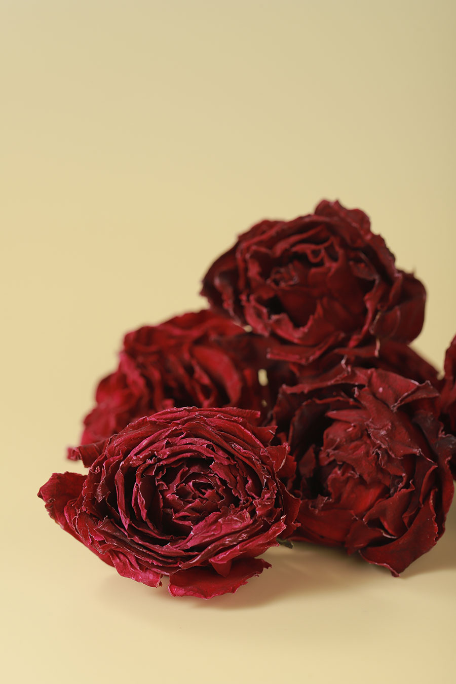 Ink Red Rose Corolla Tea